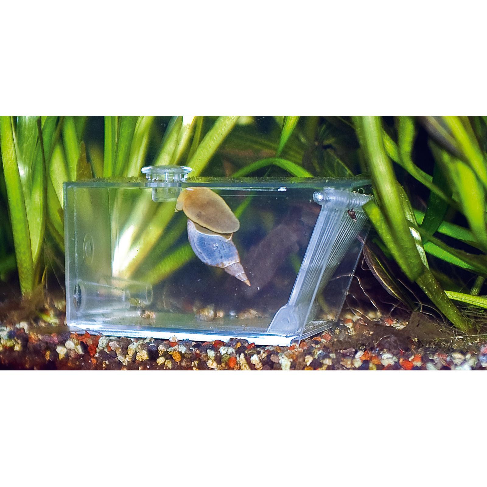 Aqua Medic Trap Pest Krebsfalle (15,5x7,5x8,5 cm)