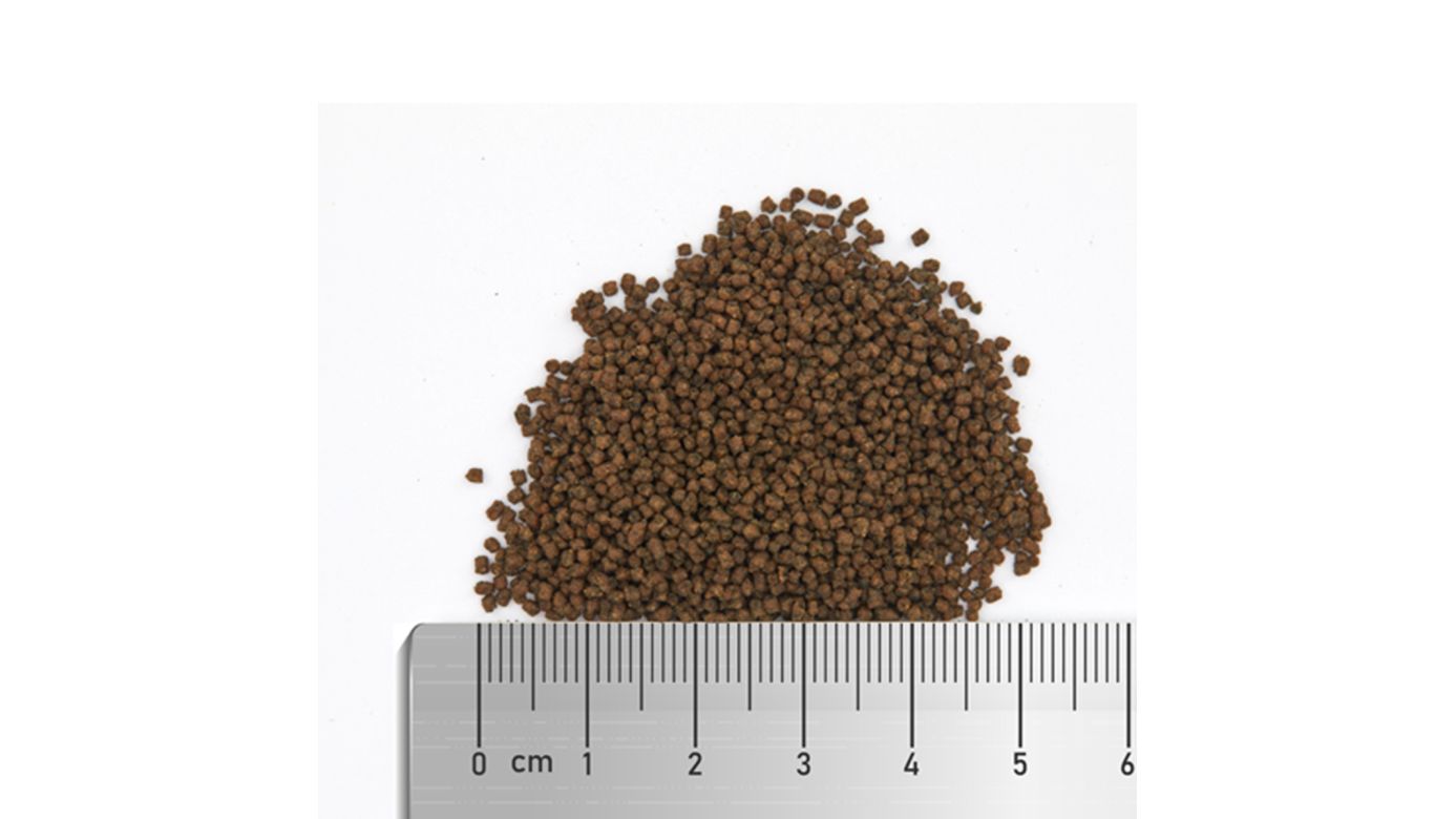 Fauna Marin Soft Spirulina M Granulatfutter 158 g