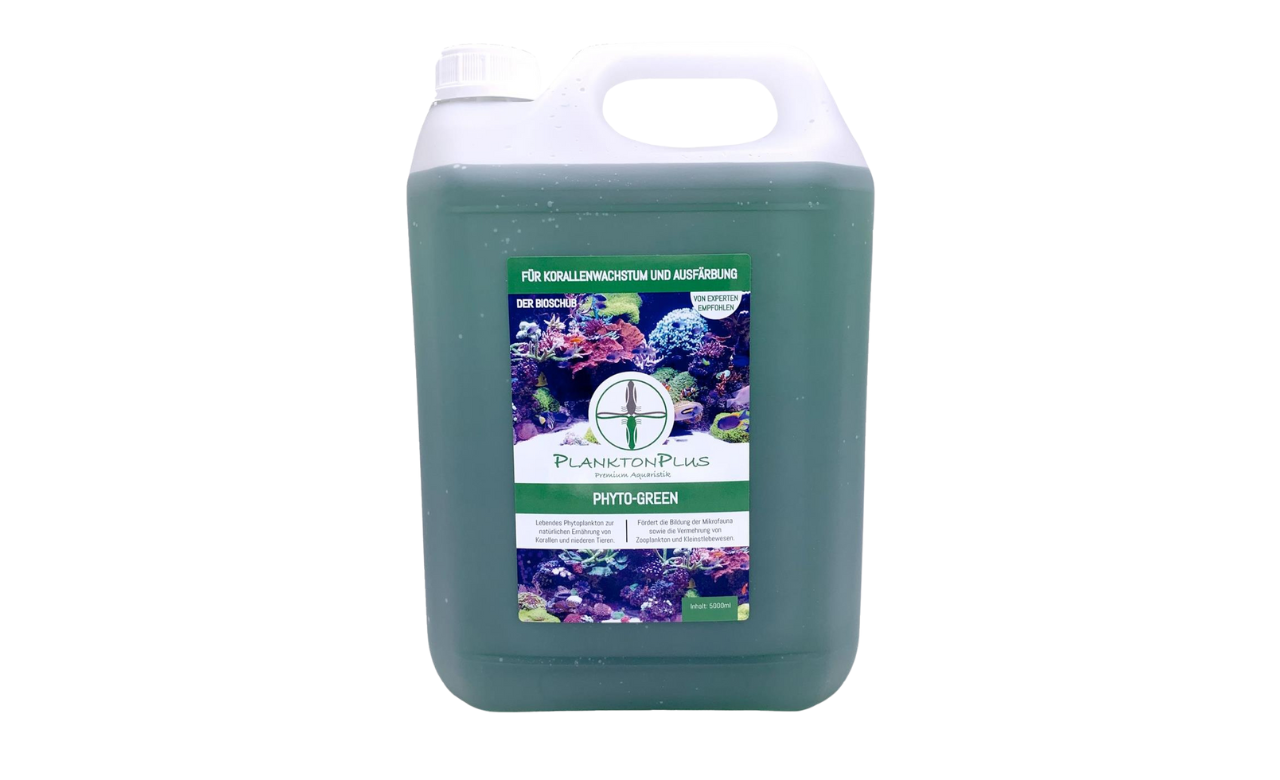 PlanktonPlus Phyto-Green für Korallenwachstum und Ausfärbung 5 Liter