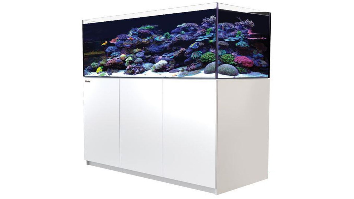 Red Sea REEFER™ 525 System G2+ Weiß (R42252G2P-EUR)