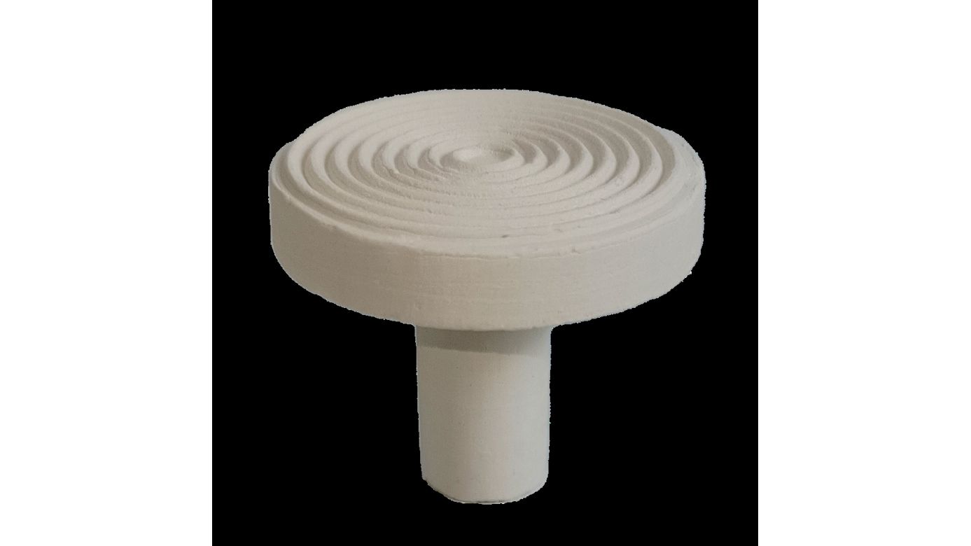 Fauna Marin Maxi Reef Disc Ø 3,3cm Maxi Ablegersteine (6 St.)