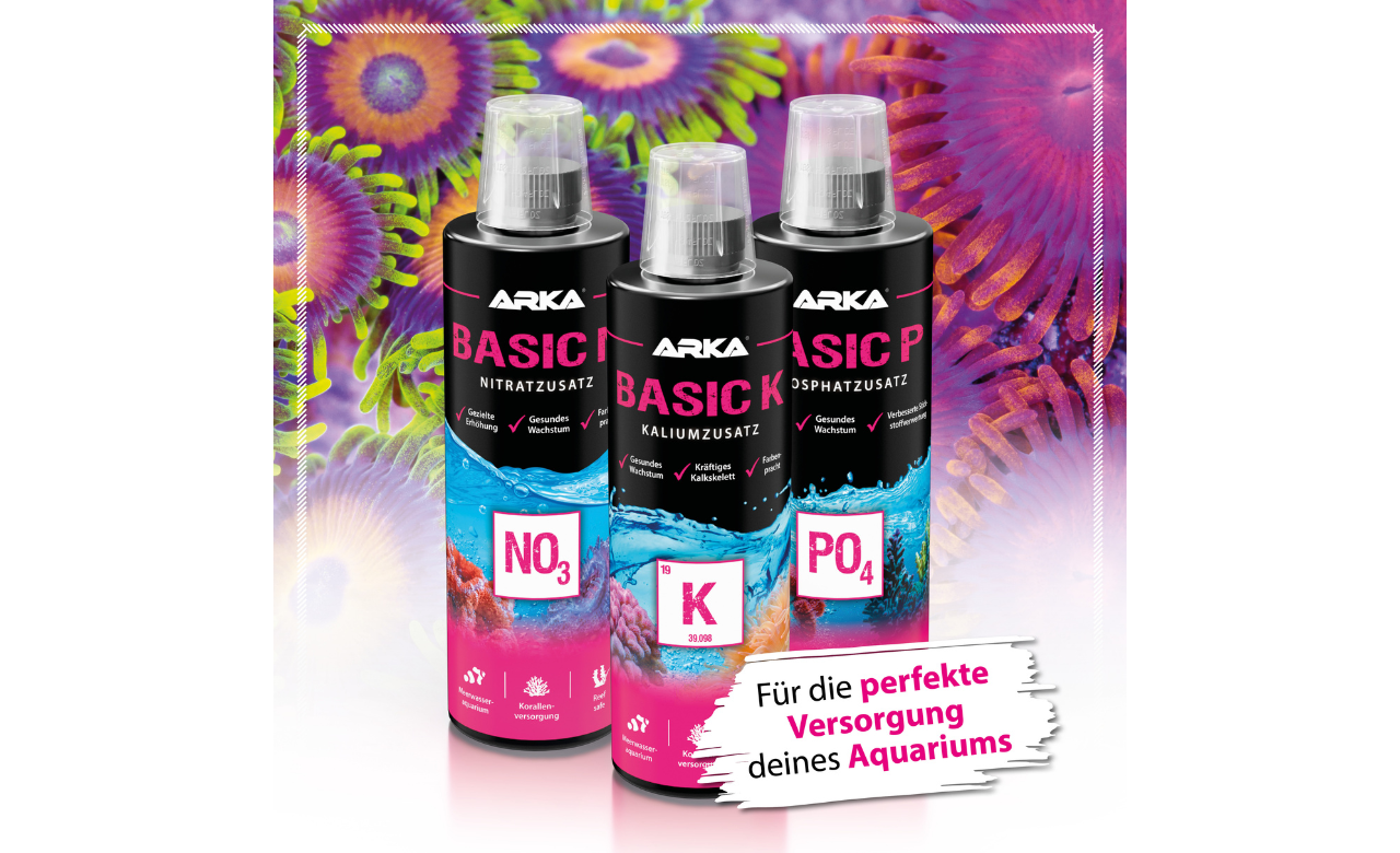 ARKA Basic P Phosphat Plus 118 ml