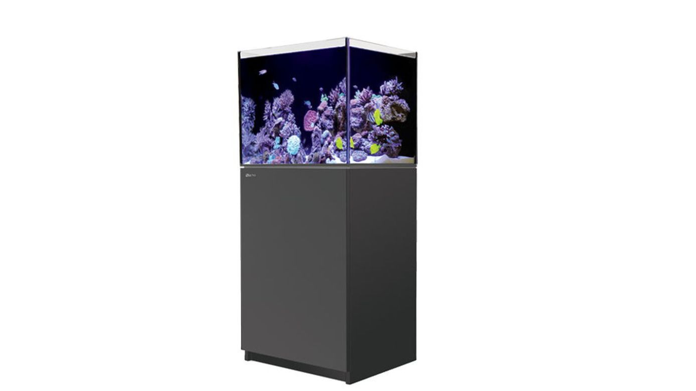 Red Sea REEFER™ 170 System G2+ Schwarz (R42111G2P-EUR)