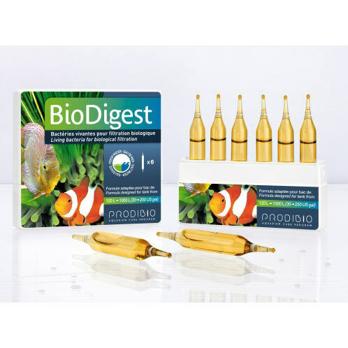 Prodibio BioDigest Bakterienmischung für Meer- und Süßwasser 6 Ampullen