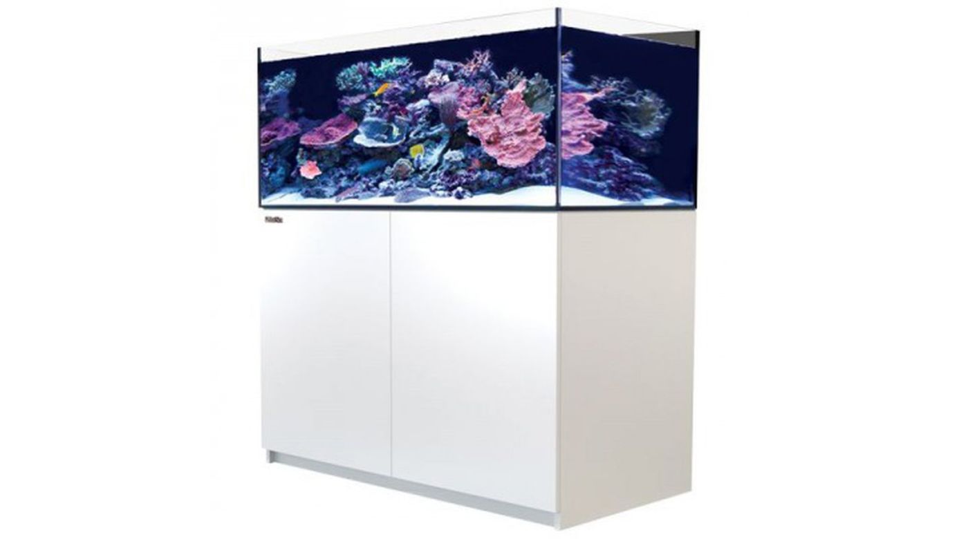 Red Sea REEFER™ 425 System G2+ Weiß (R42242G2P-EUR)