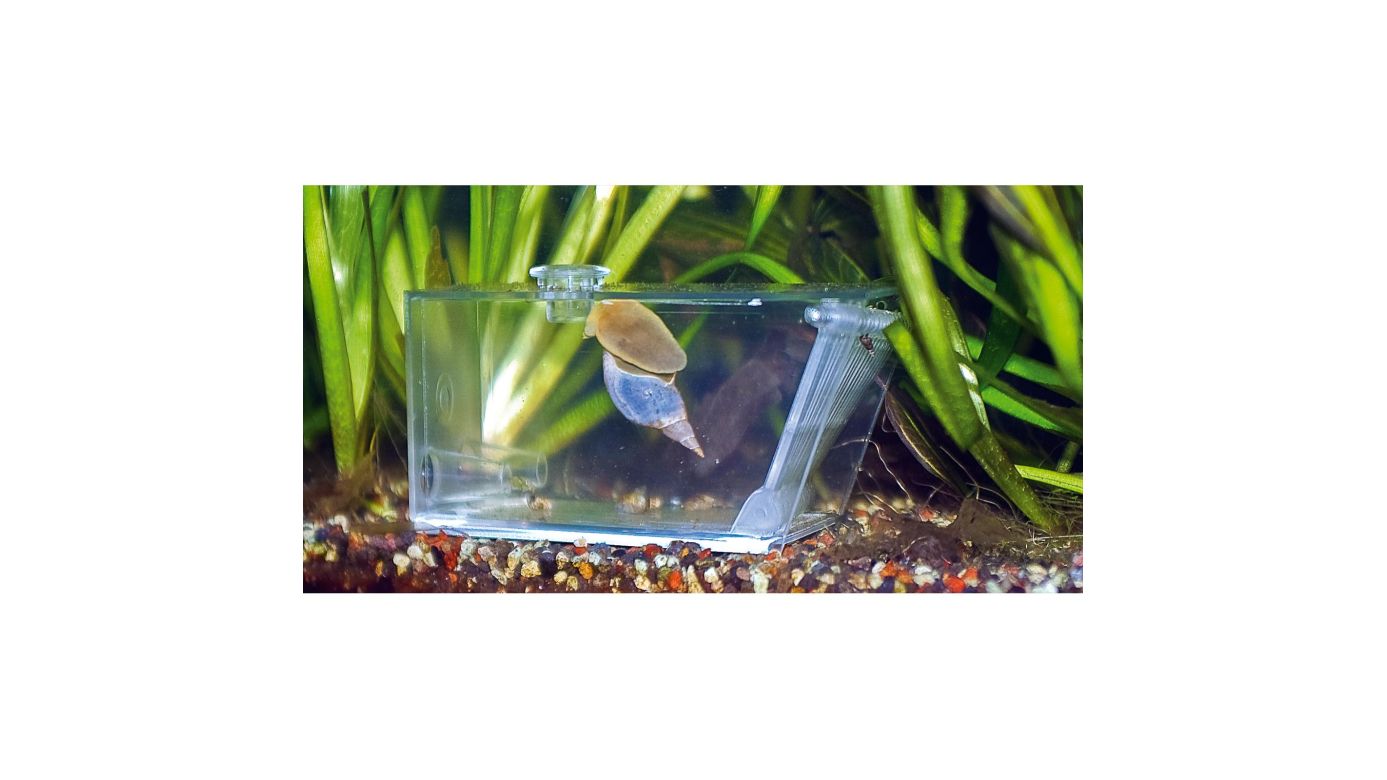 Aqua Medic Trap Pest Krebsfalle (15,5x7,5x8,5 cm)