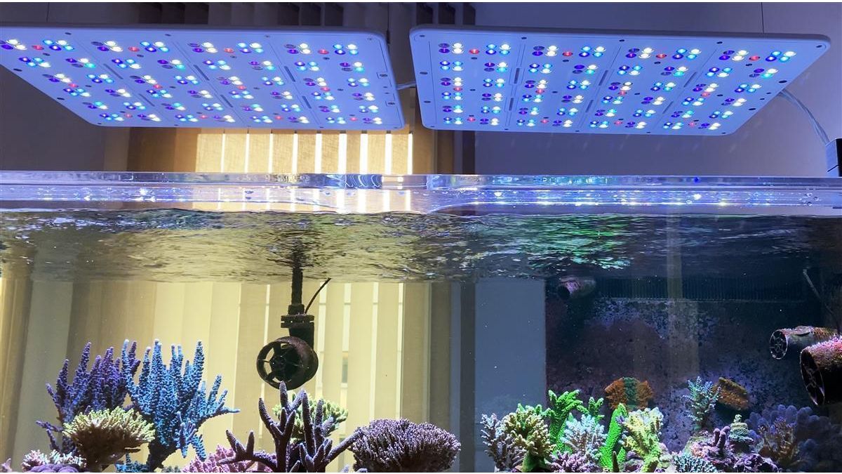 ATI Straton Pro G2 204 LED anthrazit (max. Ausleuchtung 100x80cm)