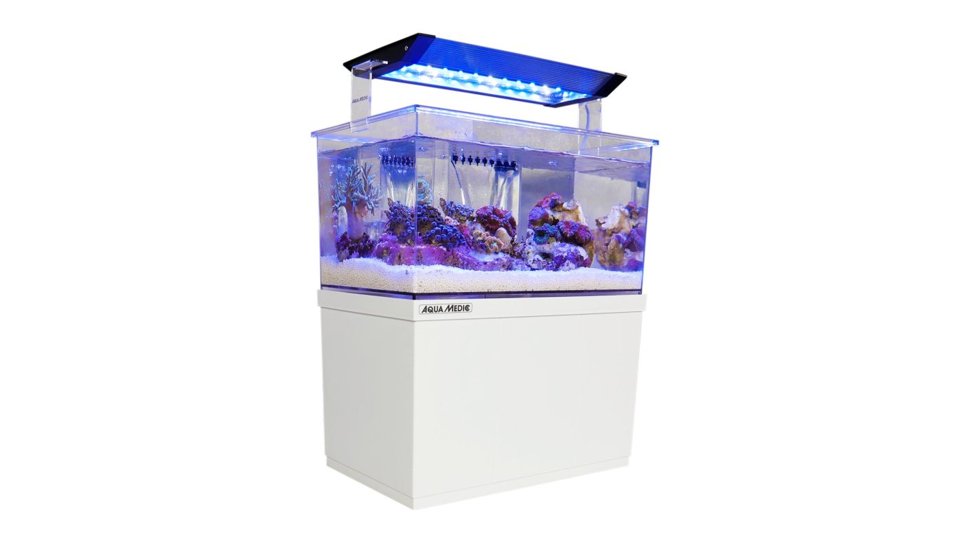 Aqua Medic Armatus XS (26,5x17x15 cm) Microaquarium 4 L