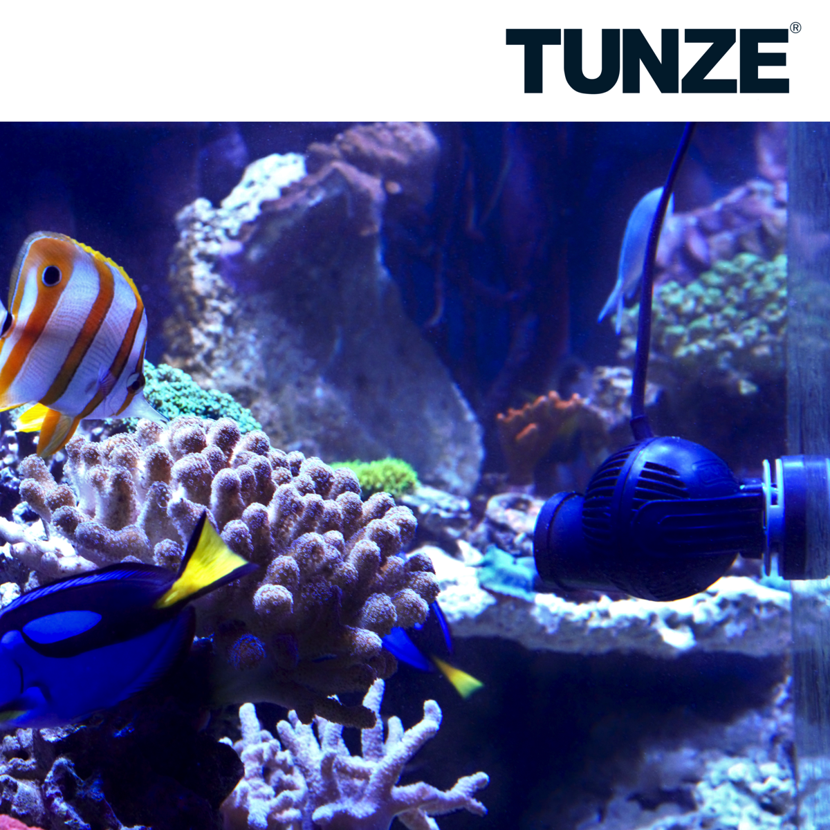 Tunze Turbelle Nanostream 6015 Strömungspumpe (max. 1800 l/h) (6015.000)