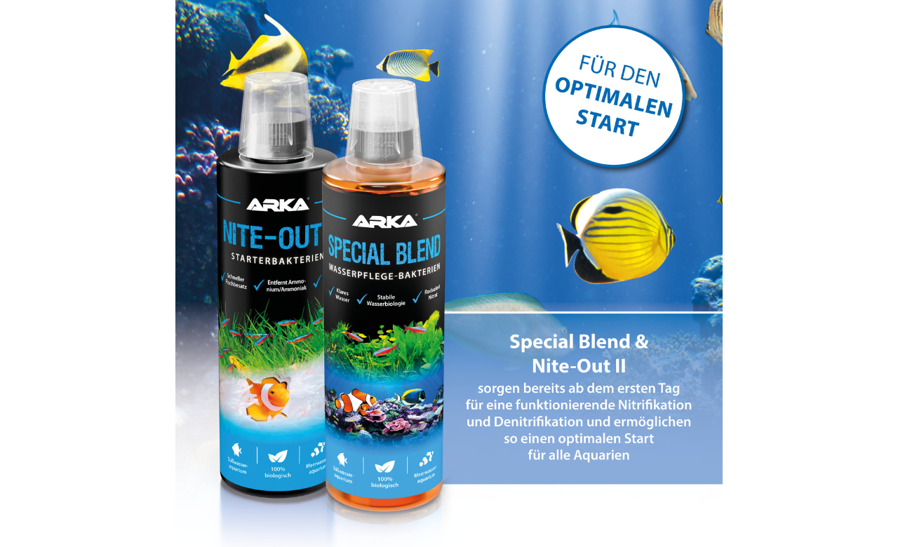 ARKA Special Blend Wasserpflege Bakterienmischung 3,79 l