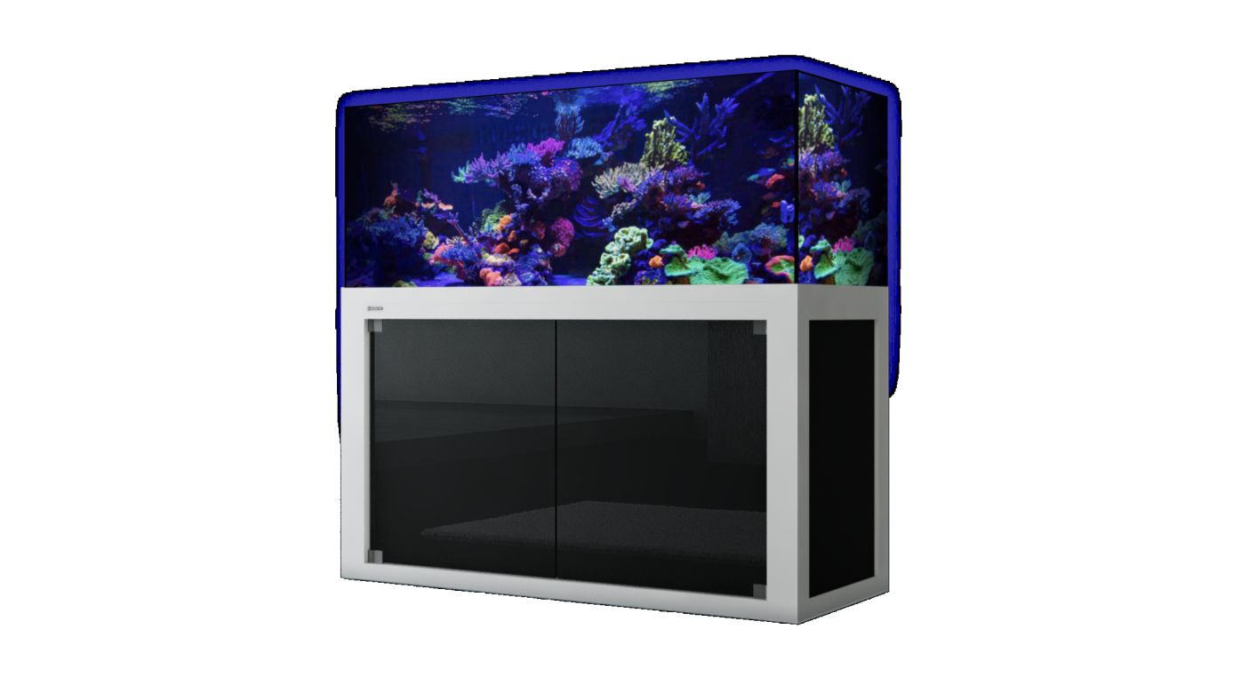 Giesemann LINEA 85/160 Aquarium 160x60x55cm COMPLETE (inkl. 3x TESZLA evo) SILVERLINE kein Extrawunsch kein Extrawunsch