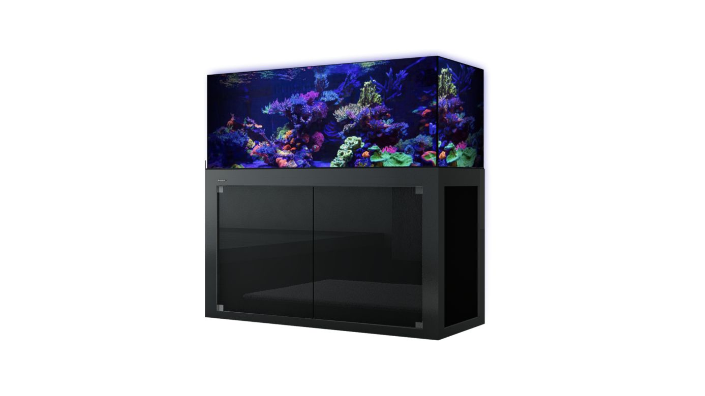 Giesemann LINEA 85/160 Aquarium 160x60x55cm COMPLETE (inkl. 3x TESZLA evo) BLACKLINE kein Extrawunsch kein Extrawunsch