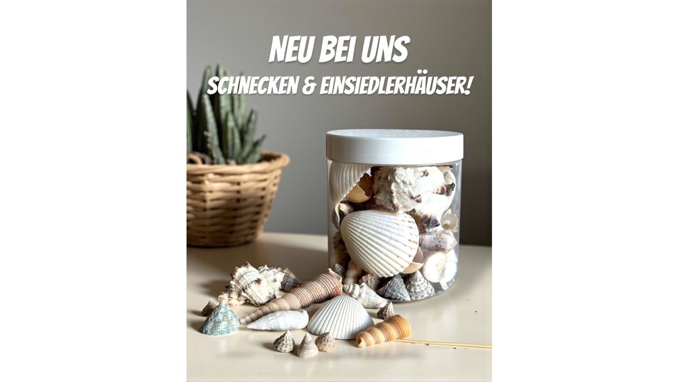 PlanktonPlus Ocean Shells Schnecken- und Einsiedlerhäuser 100 g
