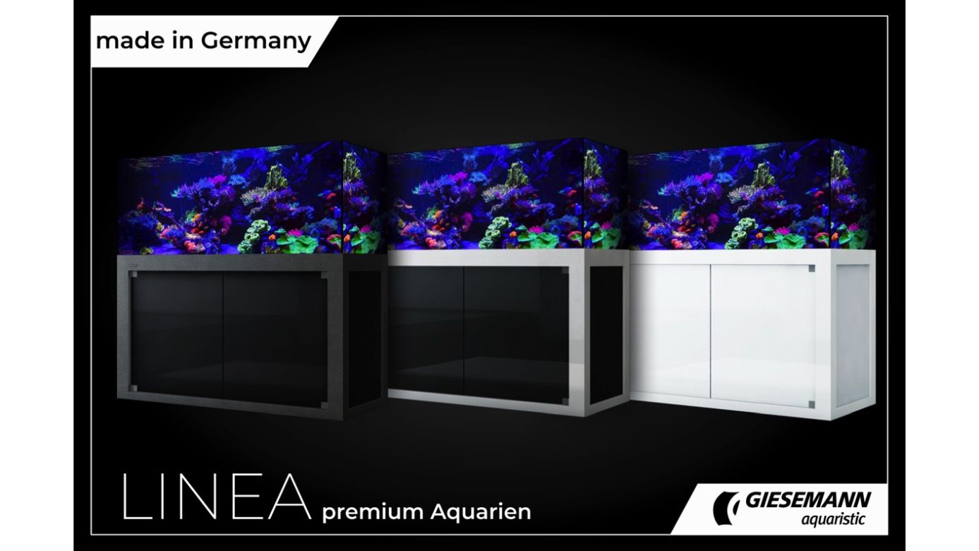 Giesemann LINEA 85/160 Aquarium 160x60x55cm Ohne Leuchten Eigene Farbkombination Titan soft Feinstruktur (+ Aufpreis) Glas hochglanz schwarz