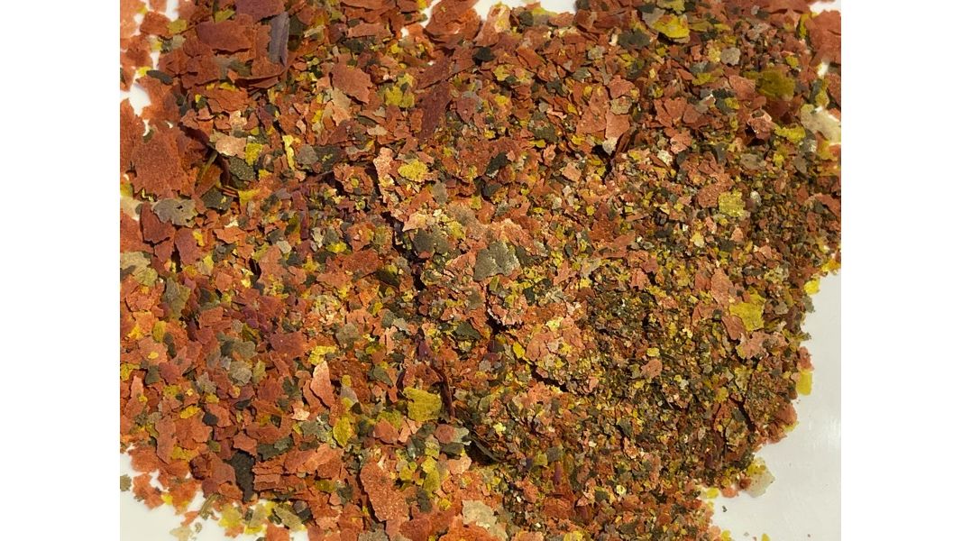 PlanktonPlus Energy Flakes Flockenfutter 150ml