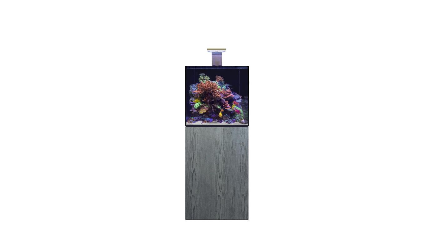 D-D AQUA-Pro Reef 600 Cube Carbon Oak 60x60x60cm Aquariumsystem mit Holzschrank
