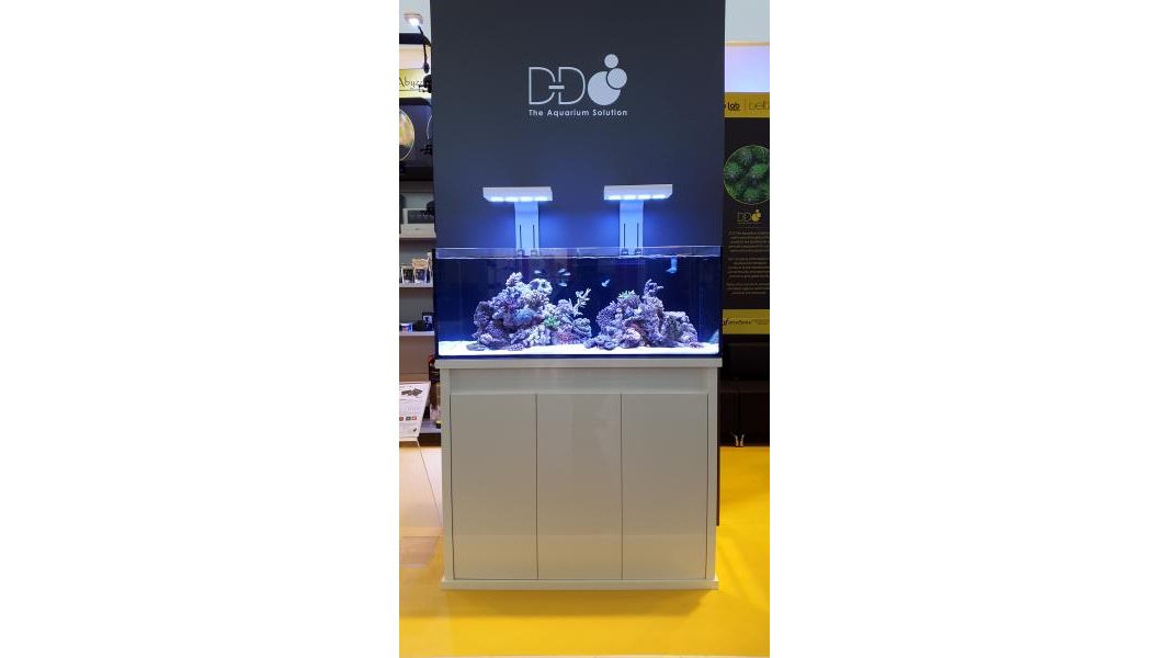 D-D Reef-Pro 1200 Driftwood Concrete Aquariumsystem 120x60x46cm