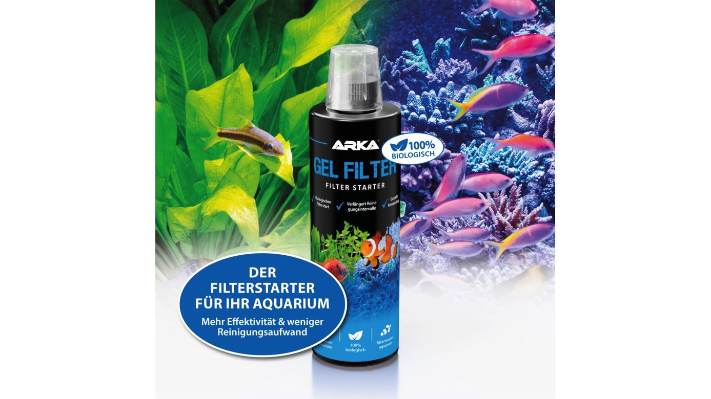 ARKA Gel Starter Filter Starter 473 ml