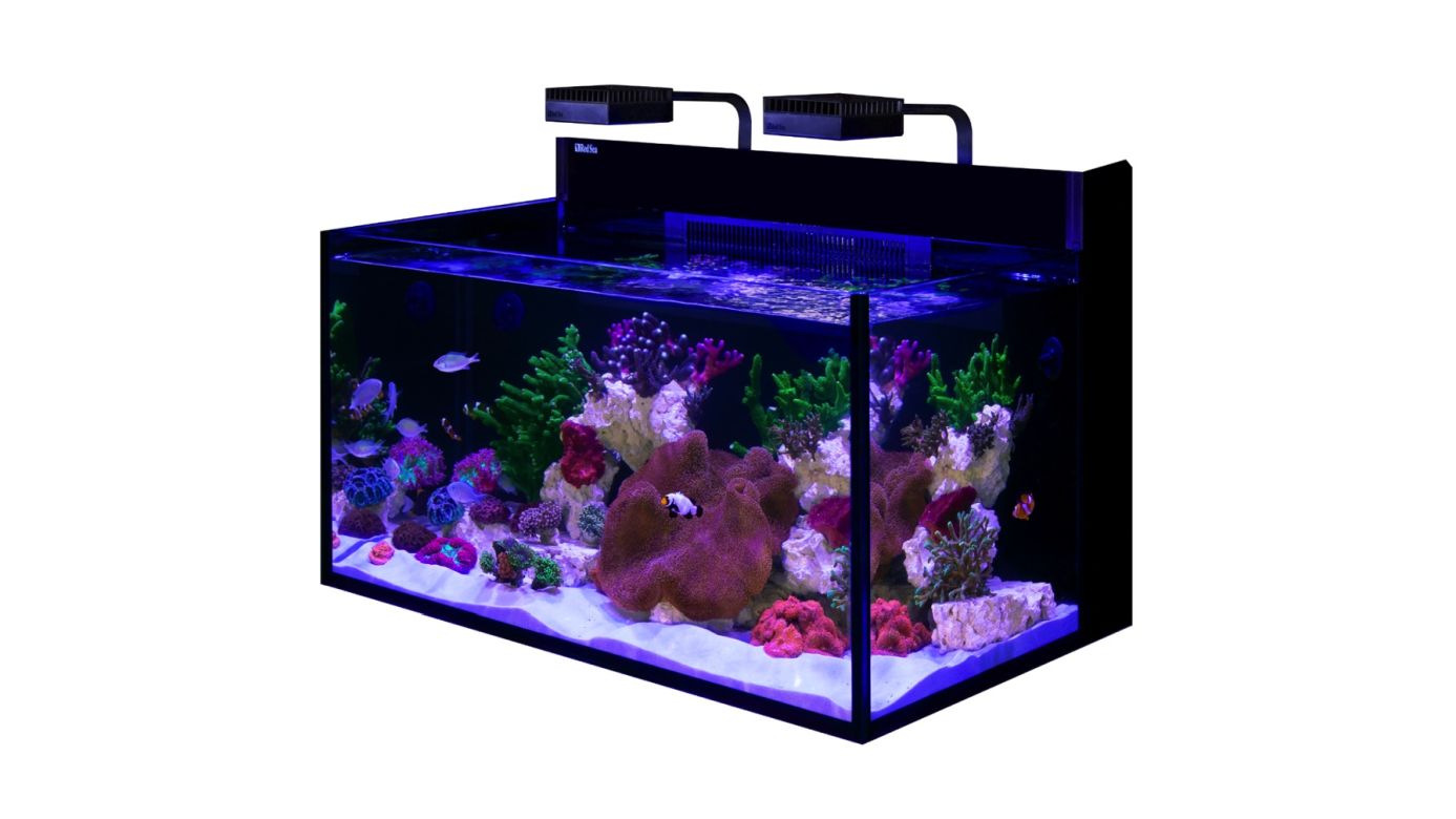 Aussteller: 1x Red Sea MAX NANO G2 XXL inkl. schwarzer Unterschrank (R40090G2-EUR)