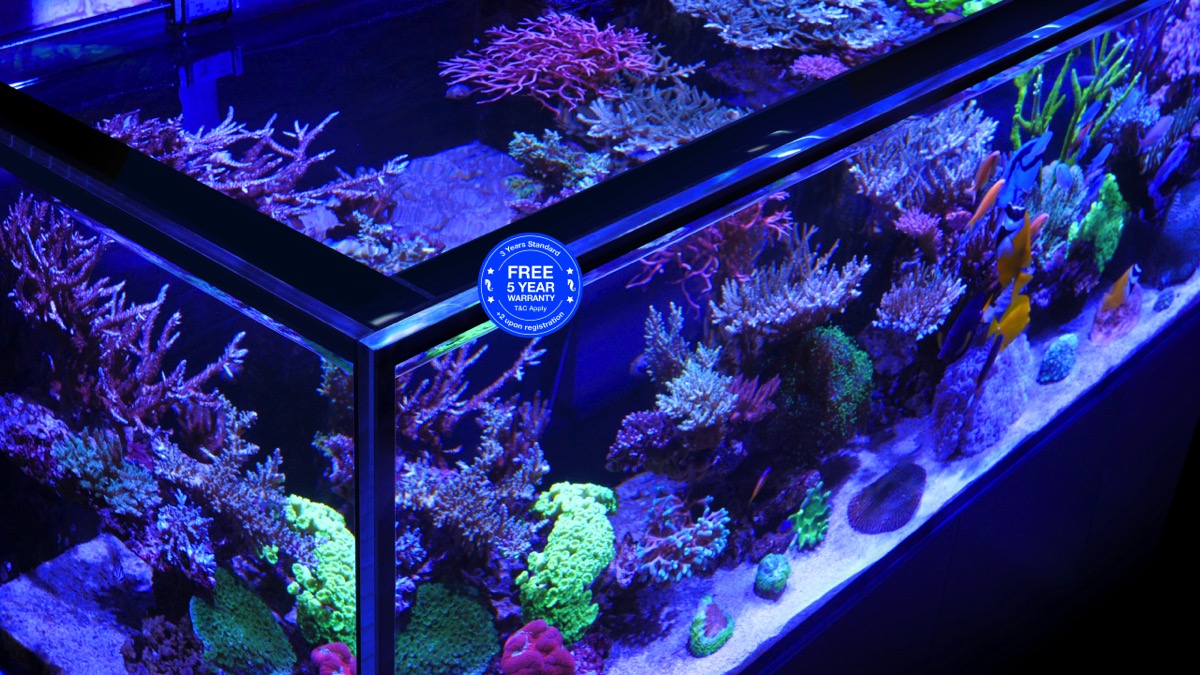 *NEU* Red Sea REEFER 250 System G3 Weiß (R45126)
