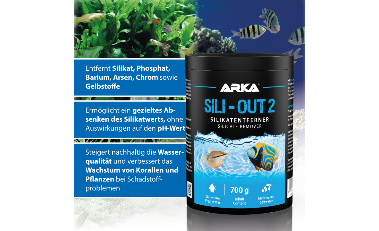 ARKA Sili-Out 2 Silikatentferner 350 g