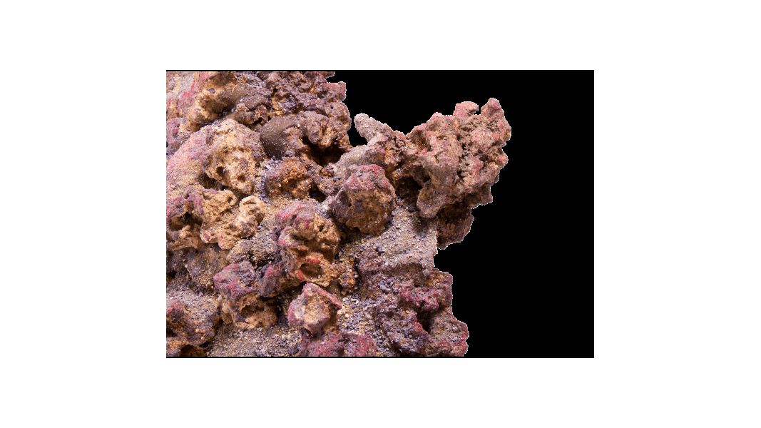 CaribSea LifeRock XL Arch (1 Bogen ca. 61cm)