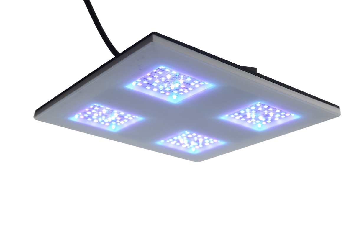 b.SPX b.OCEAN Gravity22 2x2 Modul 60 W