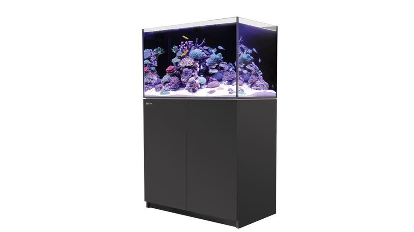 Red Sea REEFER™ 250 System G2+ Schwarz (R42121G2P-EUR)
