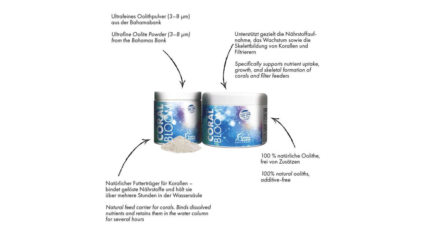 *NEU* Fauna Marin Coral Bloom Ultrafeines Oolithpulver 200 g