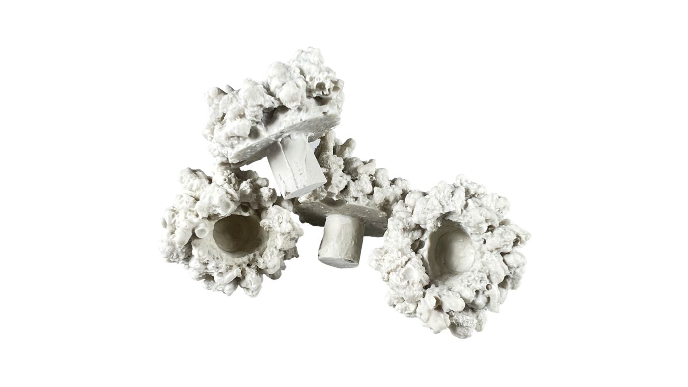 Aqua Medic coral pins Ablegersteine (10 St.)