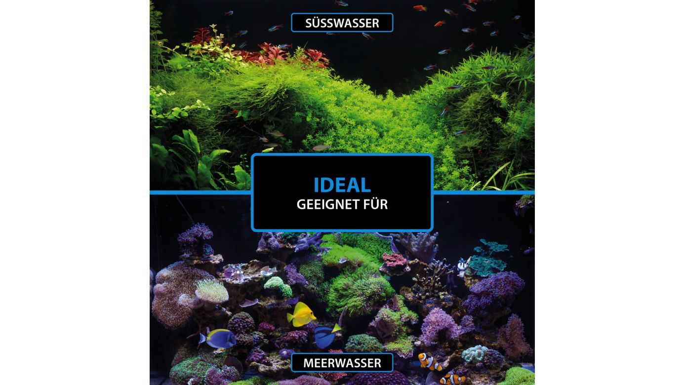 ARKA Bacto-Shot Hochaktive Impfkulturen 50 ml