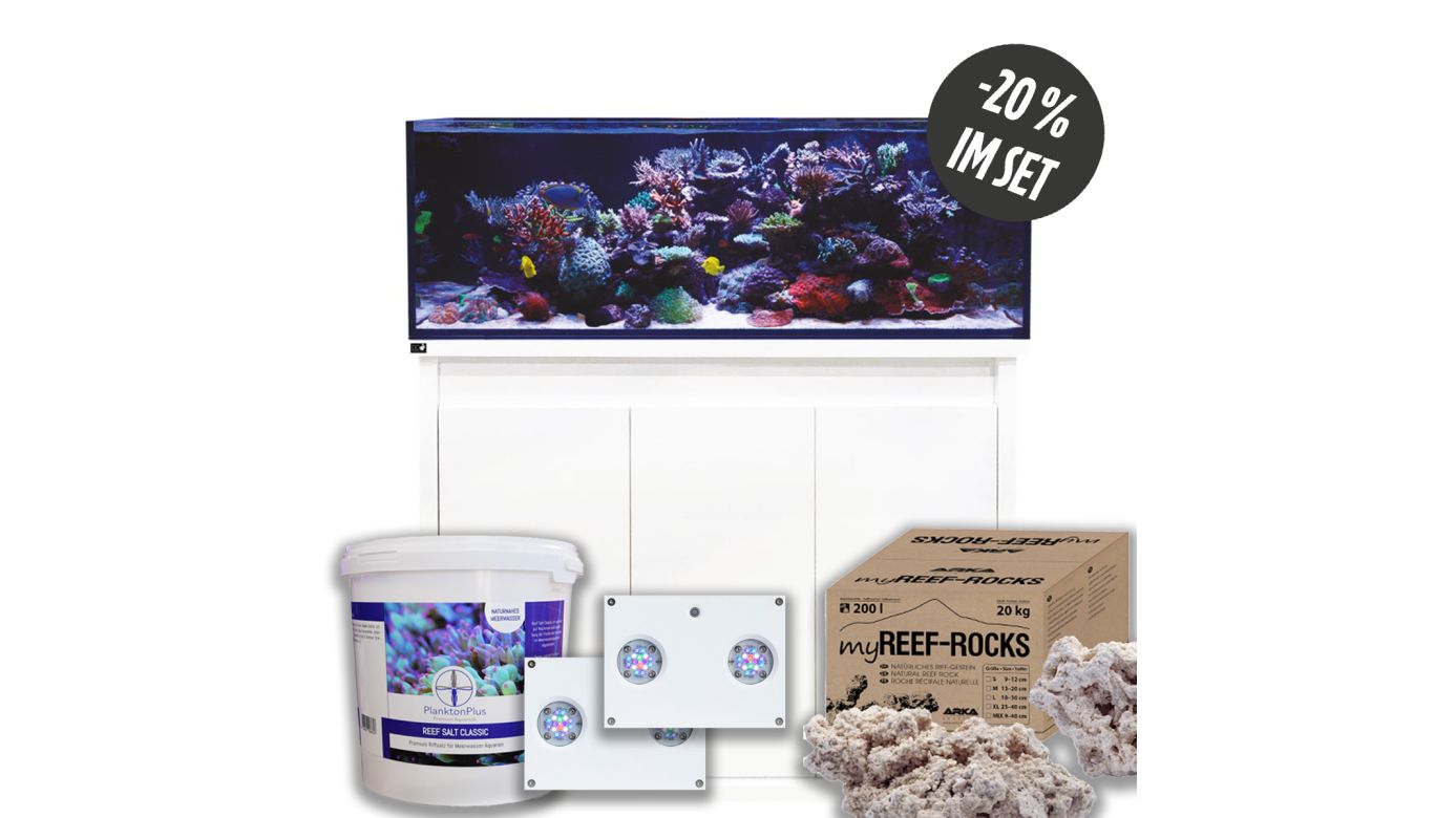 D-D Reef-Pro 1200 D-LUX White Gloss Aquarium inkl. Beleuchtung, Riffaufbau, Salz