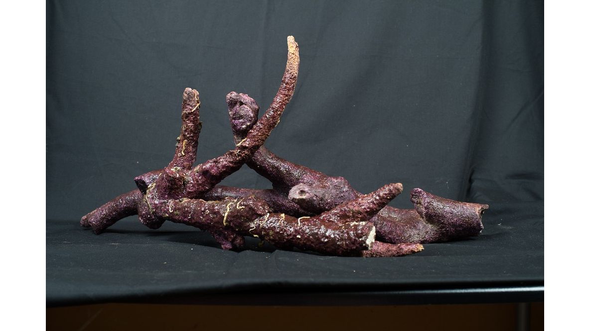 Real Reef Branched Rock 16 kg Box