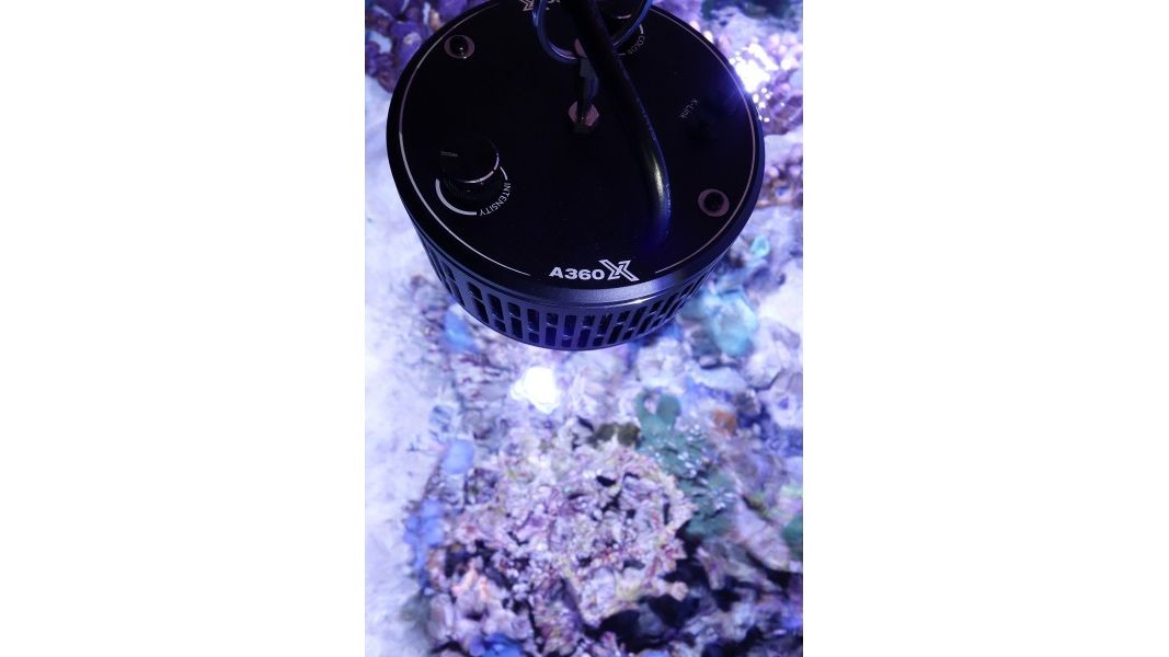 AKTION: Kessil A360X Tuna Blue