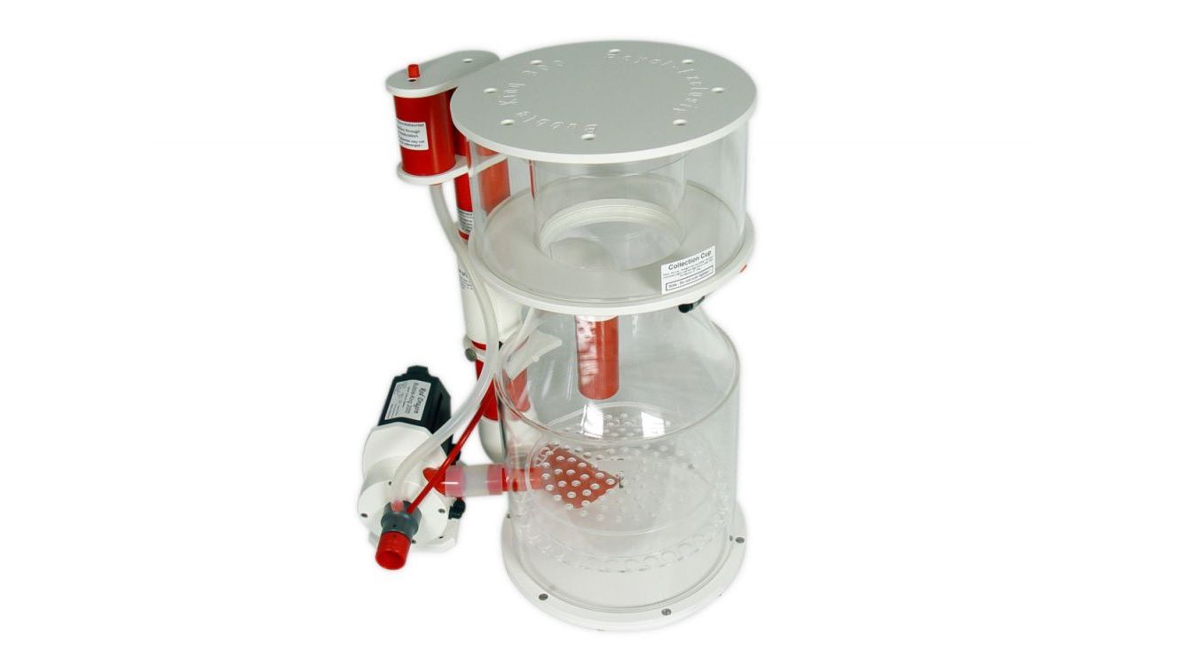 Royal Exclusiv Bubble King® DeLuxe 300 intern