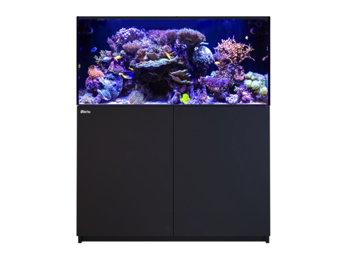 *NEU* Red Sea REEFER 425 System G3 Schwarz (R45146)