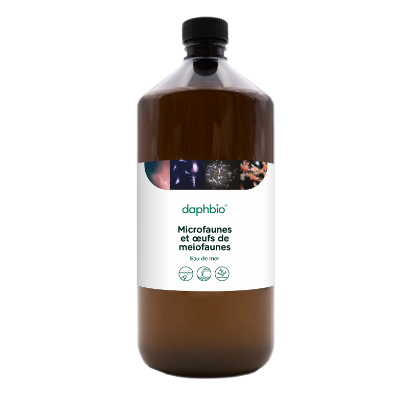 daphbio Microfauna und Mesofauna Eier 250 ml