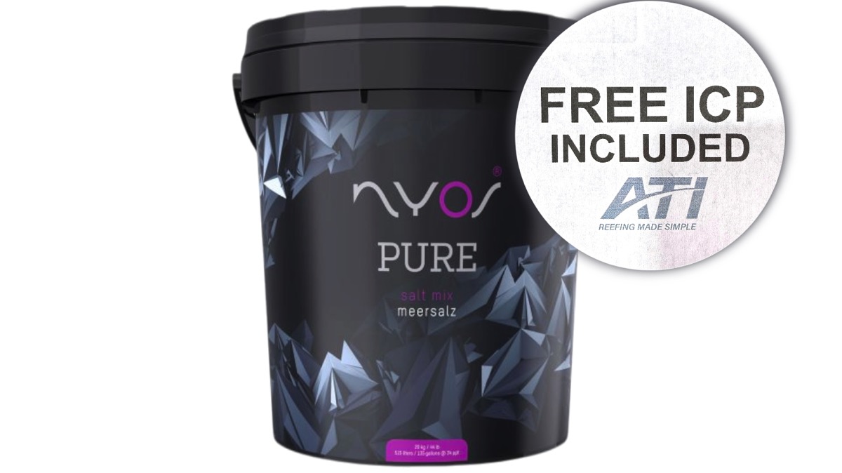 AKTION + Free-ICP: Nyos Pure Meersalz 20 kg Eimer