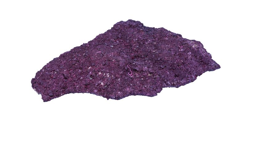 Real Reef Shelf Rock 25 kg Box