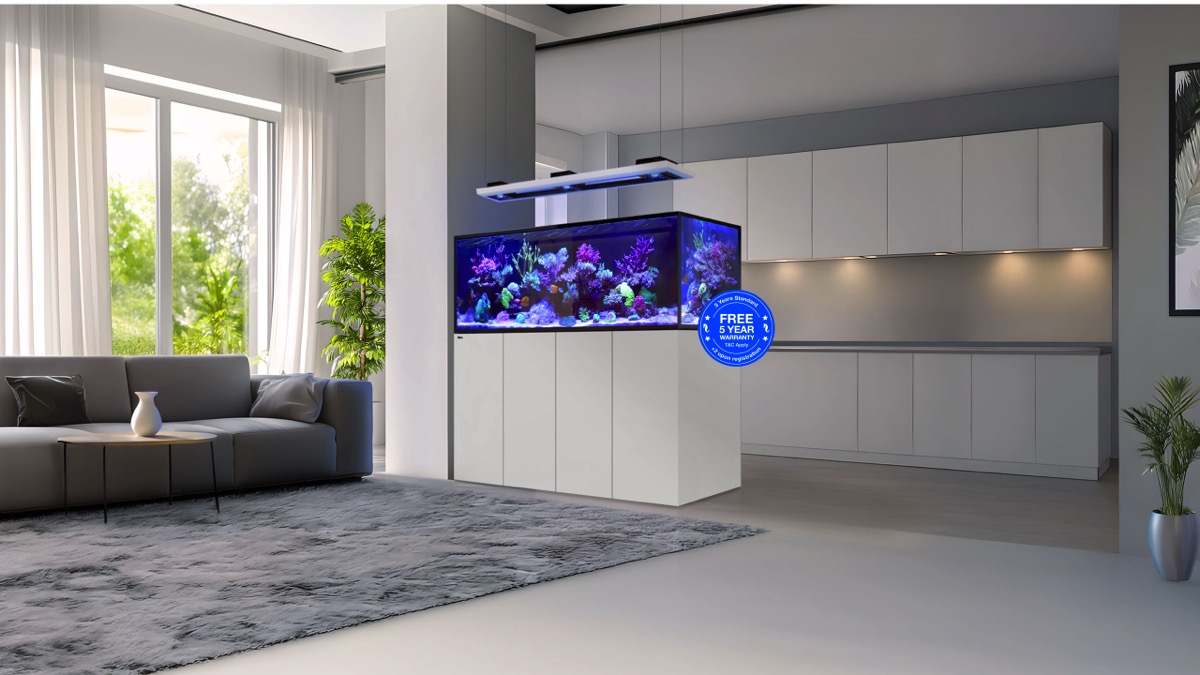 *NEU* Red Sea REEFER 250 System G3 Weiß (R45126)