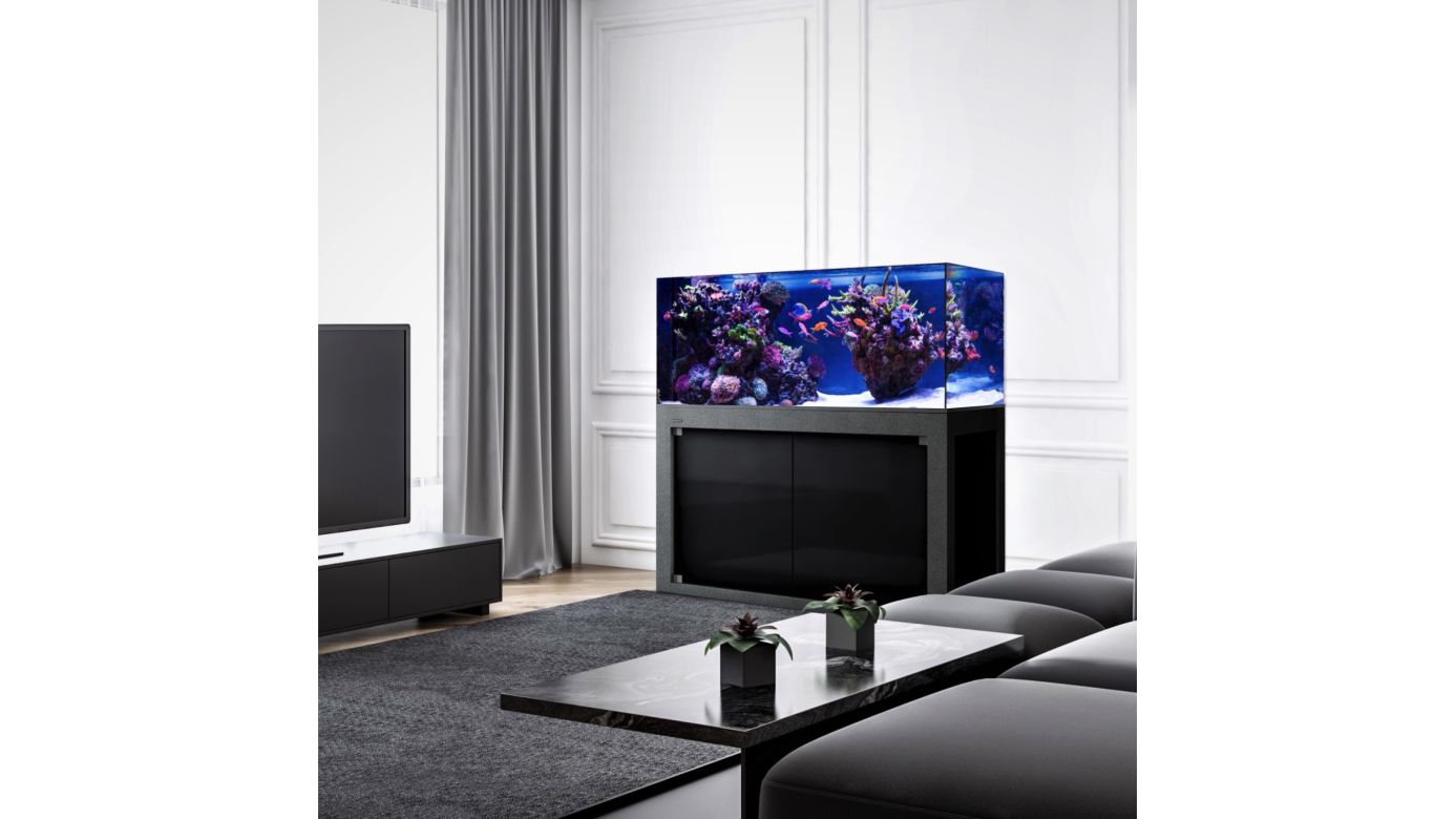 Giesemann LINEA 85/160 Aquarium complete 160x60x55cm BLACKLINE|ohne Beleuchtung