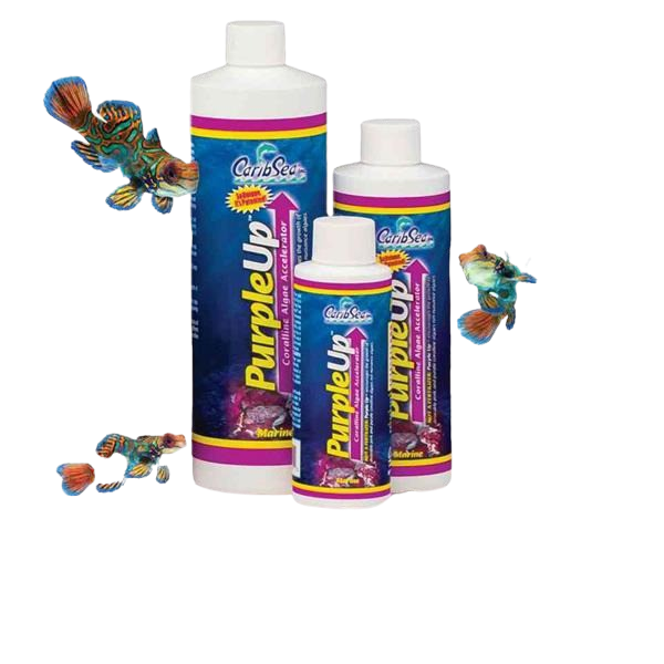CaribSea Purple Up Kalkrotalgen und Korallen Booster 473 ml