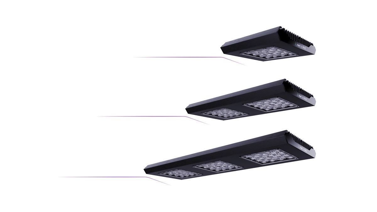 Reef Factory Reef flare Pro L BLUE 195 W (white)