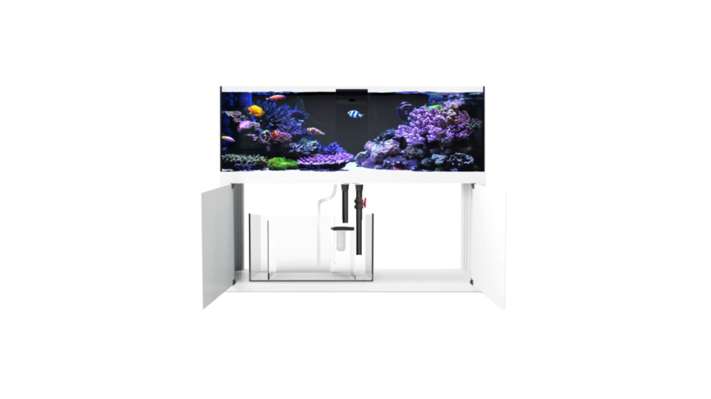 Giesemann LINEA 85/160 Aquarium complete 160x60x55cm WHITELINE|3x TESZLA evo marine