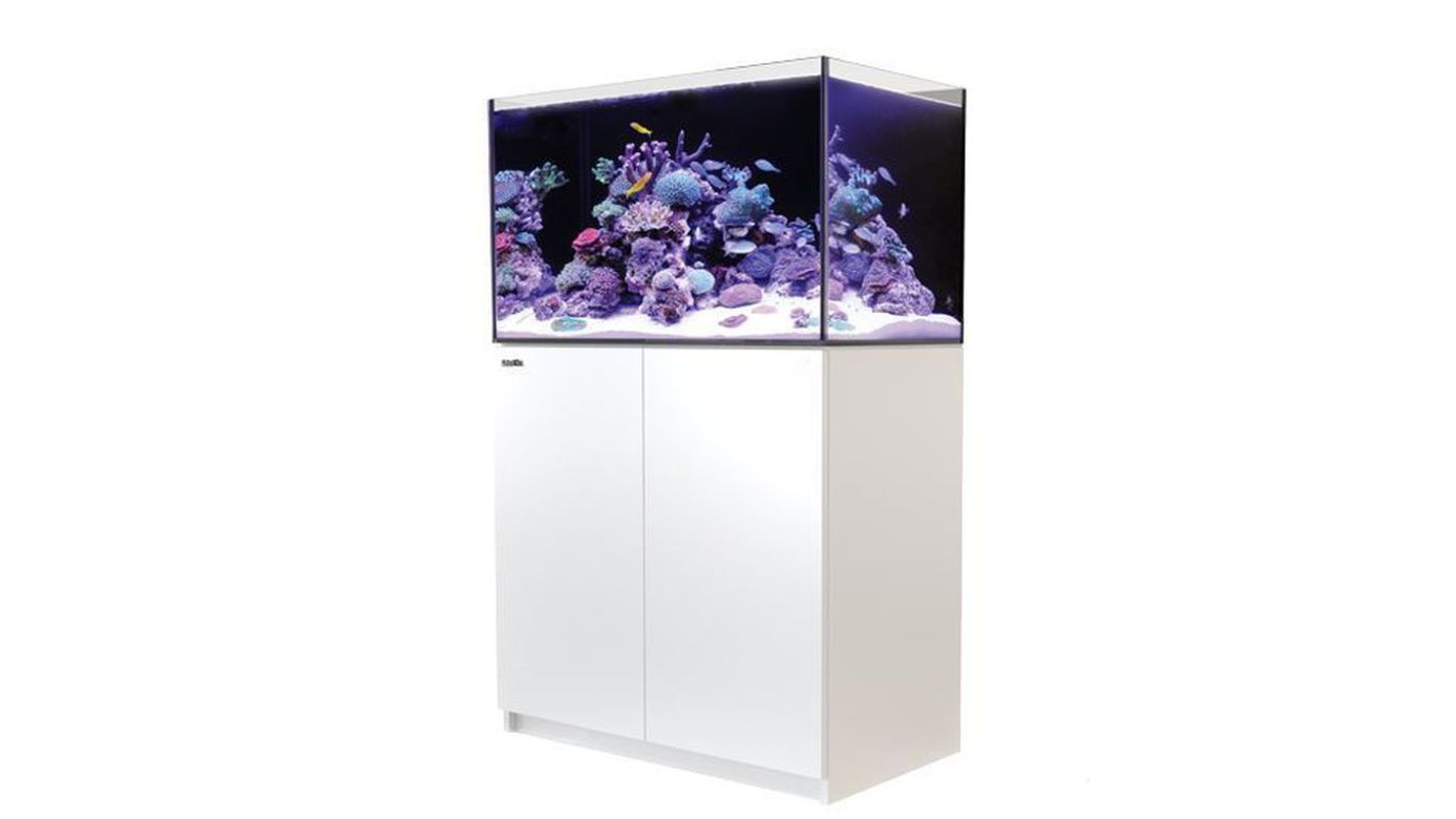 Red Sea REEFER™ 250 System G2+ Weiß (R42122G2P-EUR)