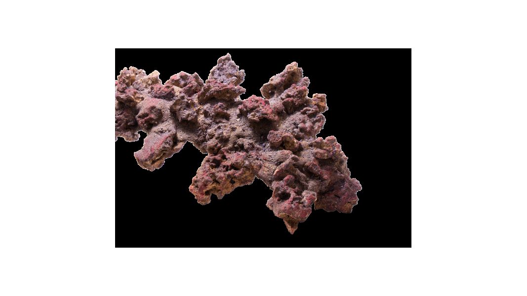 CaribSea LifeRock XL Arch (1 Bogen ca. 61cm)