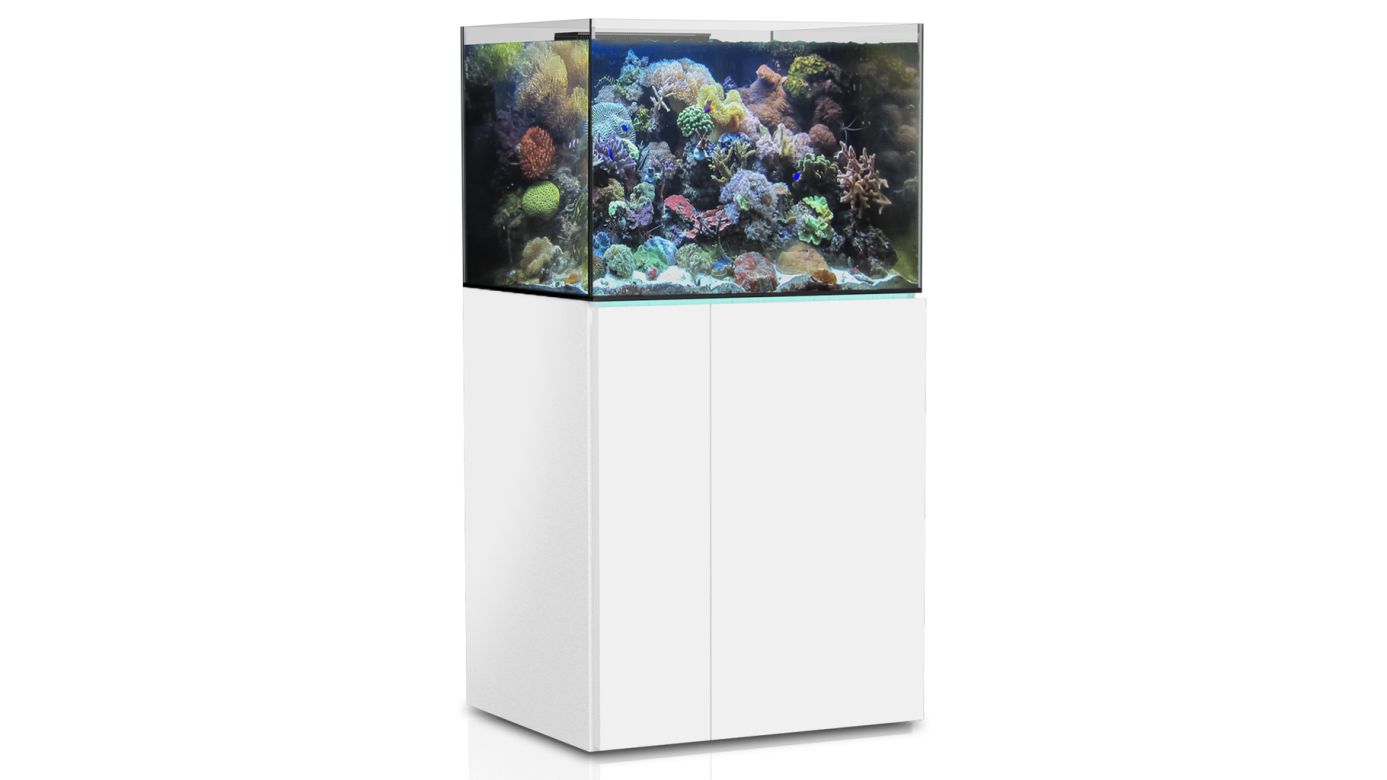 Aqua Medic Armatus 300 XD weiß 75x65x55 cm