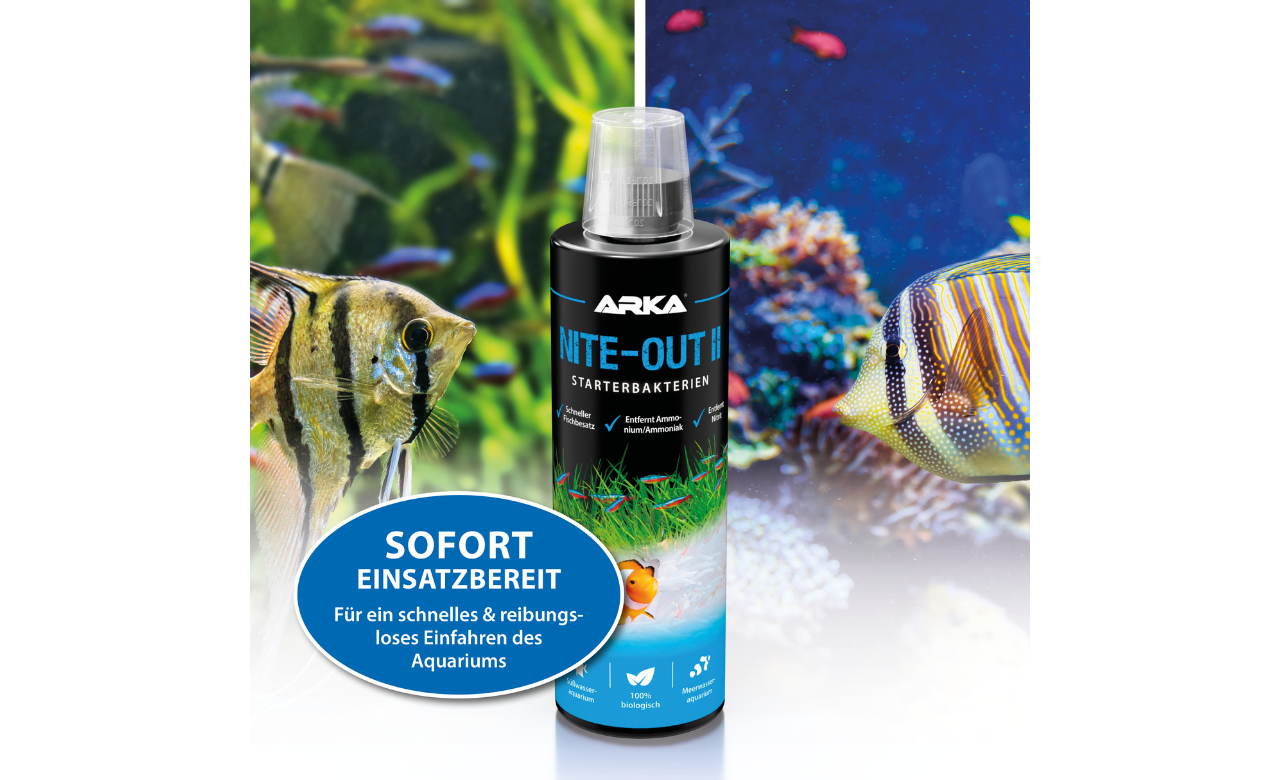 ARKA Nite-Out II 236ml MHD 05/2026