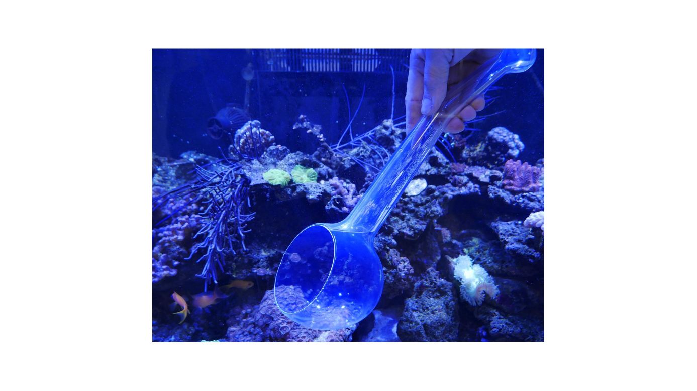 Aqua Medic Catch Bowl Fangkelle