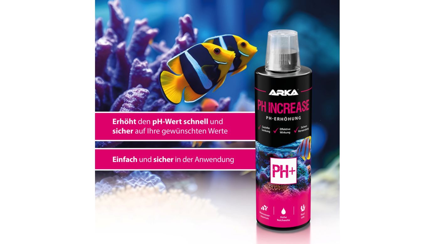 ARKA pH Increase pH-Wert sicher erhöhen 473 ml